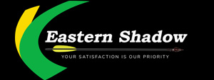 EASTERNSHADOW LOGO